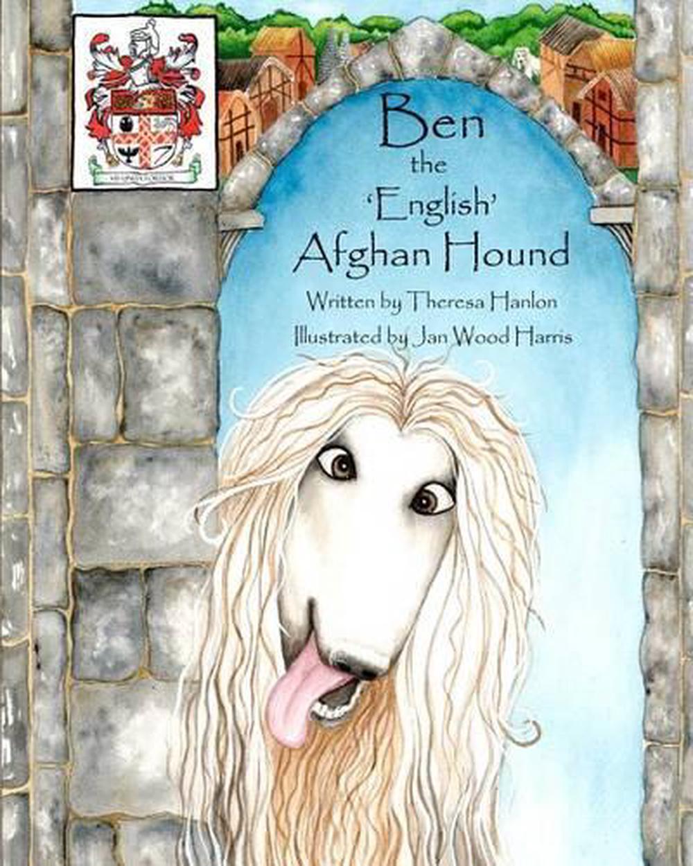 Ben the English Afghan Hound by Theresa Hanlon (English ...