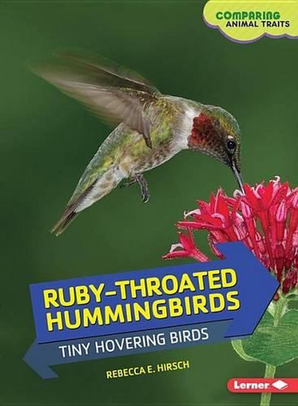 RubyThroated Hummingbirds Tiny Hovering Birds by Rebecca E. Hirsch (English) P eBay