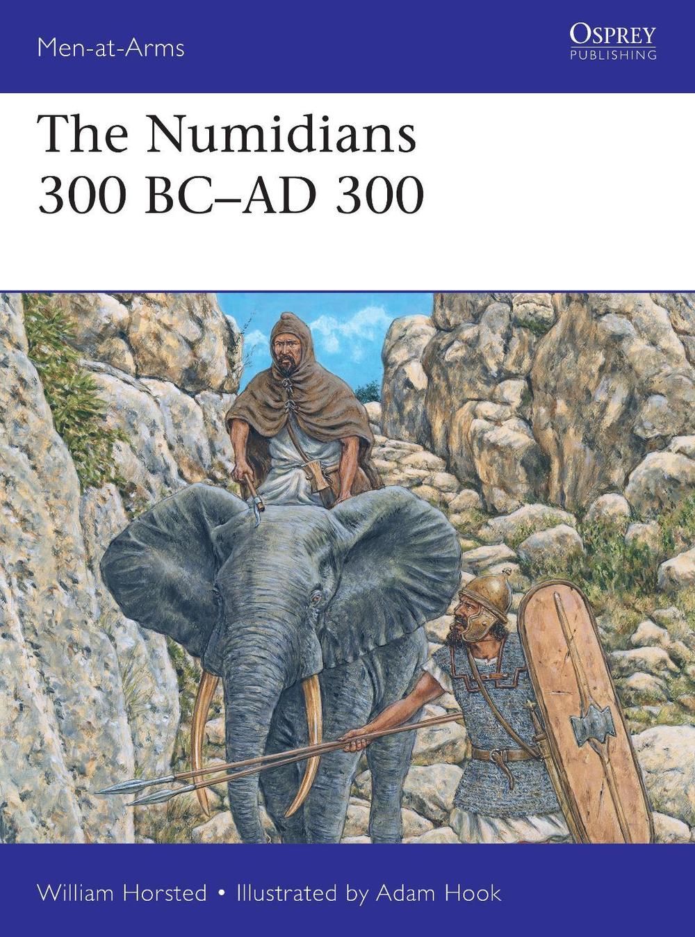 The Numidians 300 BCAD 300 by William Horsted (English) Paperback Book