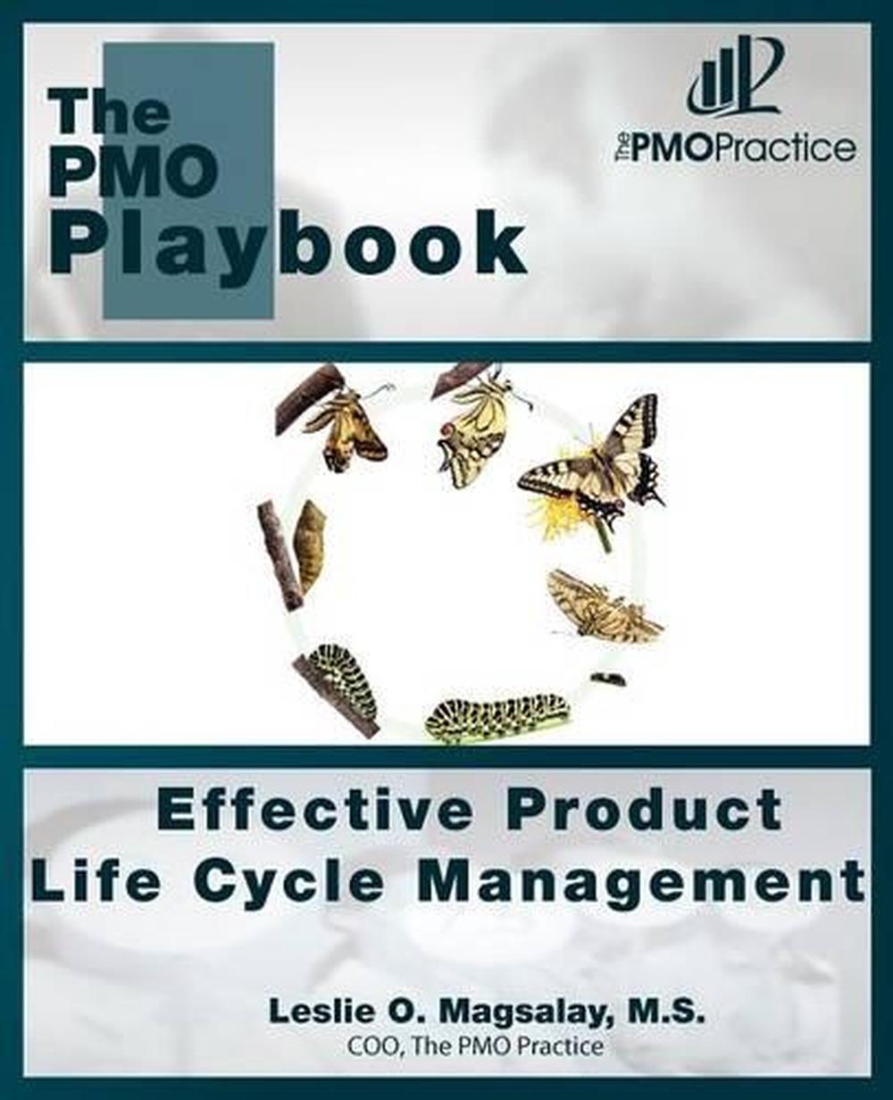 Pmo Playbook Template