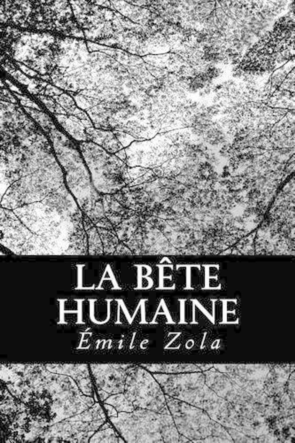 La Bete Humain Emile Zola Résumé Chapitre