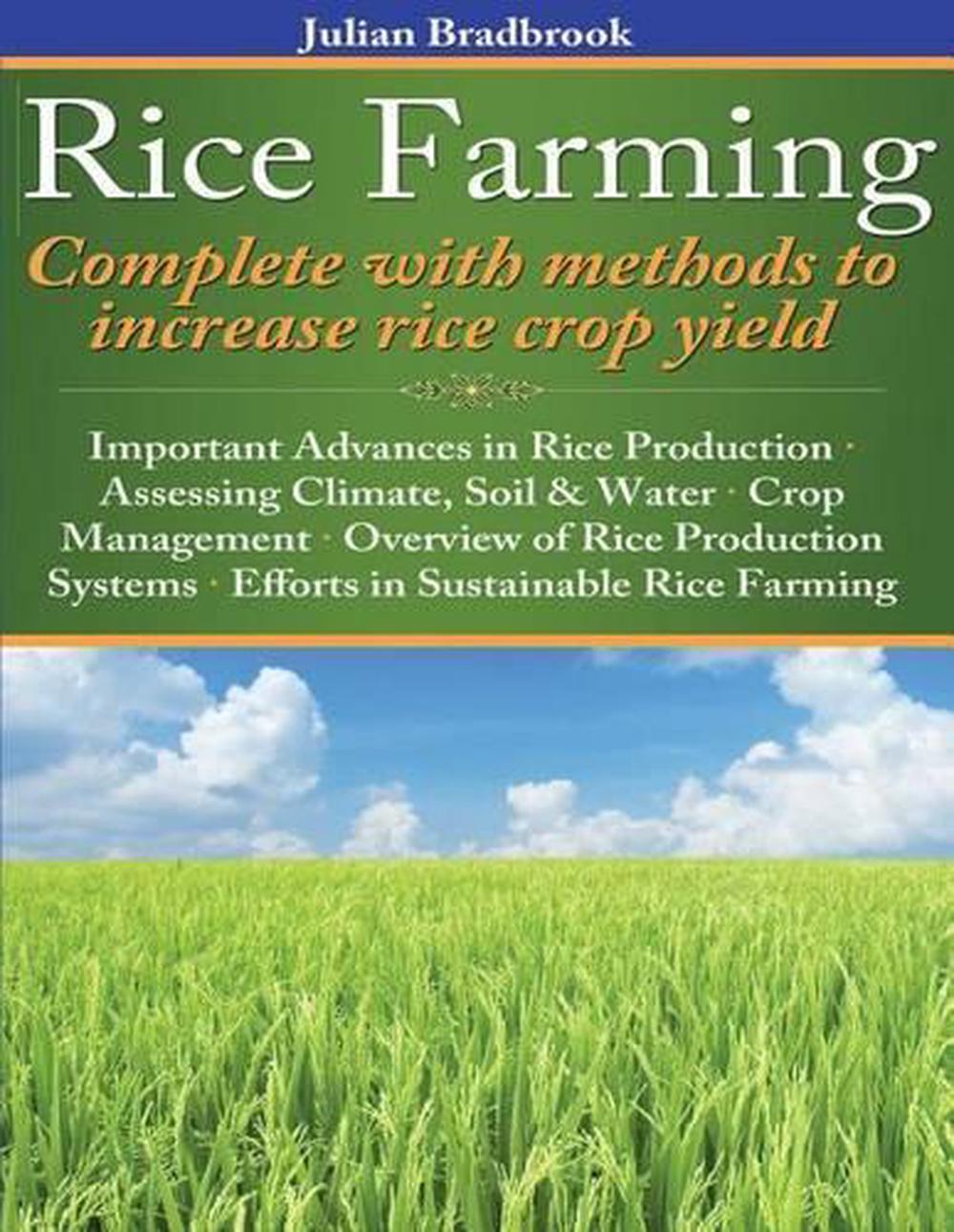 Rice Farming Complete With Methods To Increase Rice Crop Yield By ...