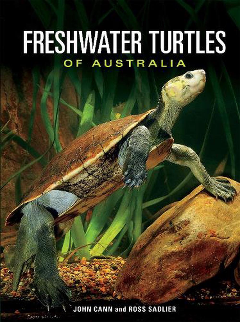 Freshwater Turtles Of Australia By John Cann English Hardcover Book Free Shipp 9781486308248 