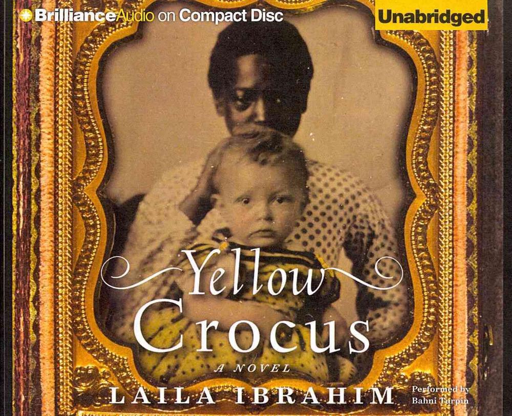 yellow crocus by laila ibrahim