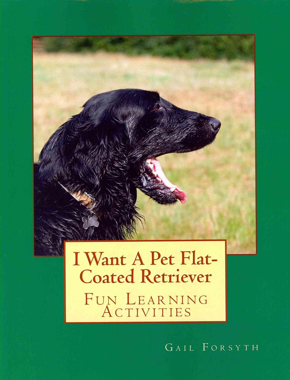 i want a pet flat coated retriever by gail forsyth flat coated retriever weight chart