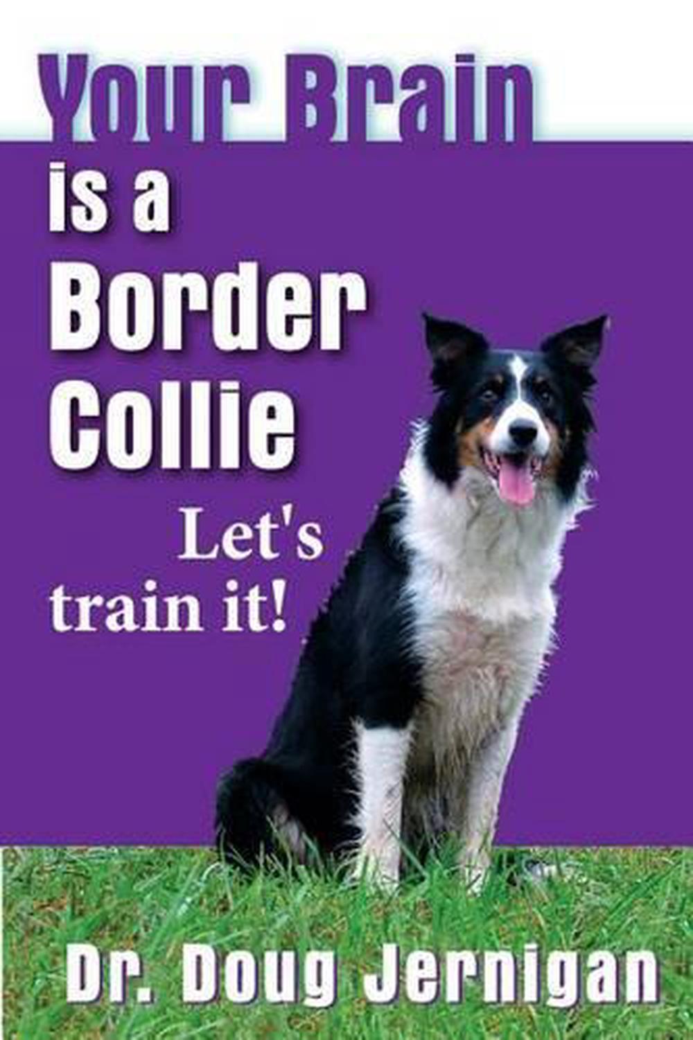 Your Brain Is a Border Collie Building the Life You Want, Doggie Style