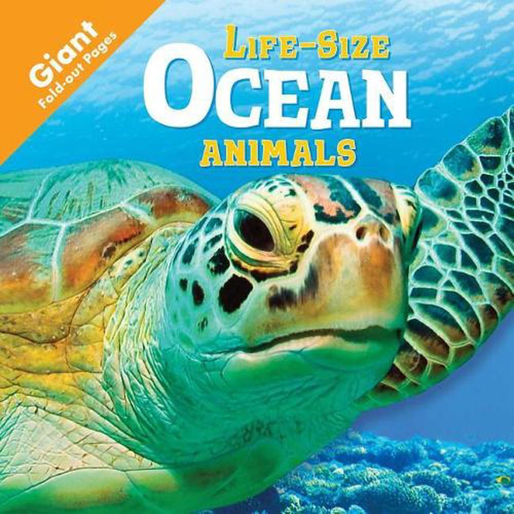 Ocean Animals by Igloobooks (English) Board Books Book Free Shipping ...