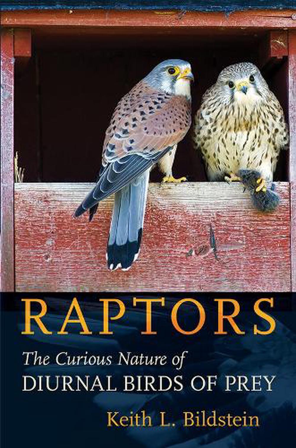 Raptors: The Curious Nature of Diurnal Birds of Prey by Keith L. Bildstein (Engl