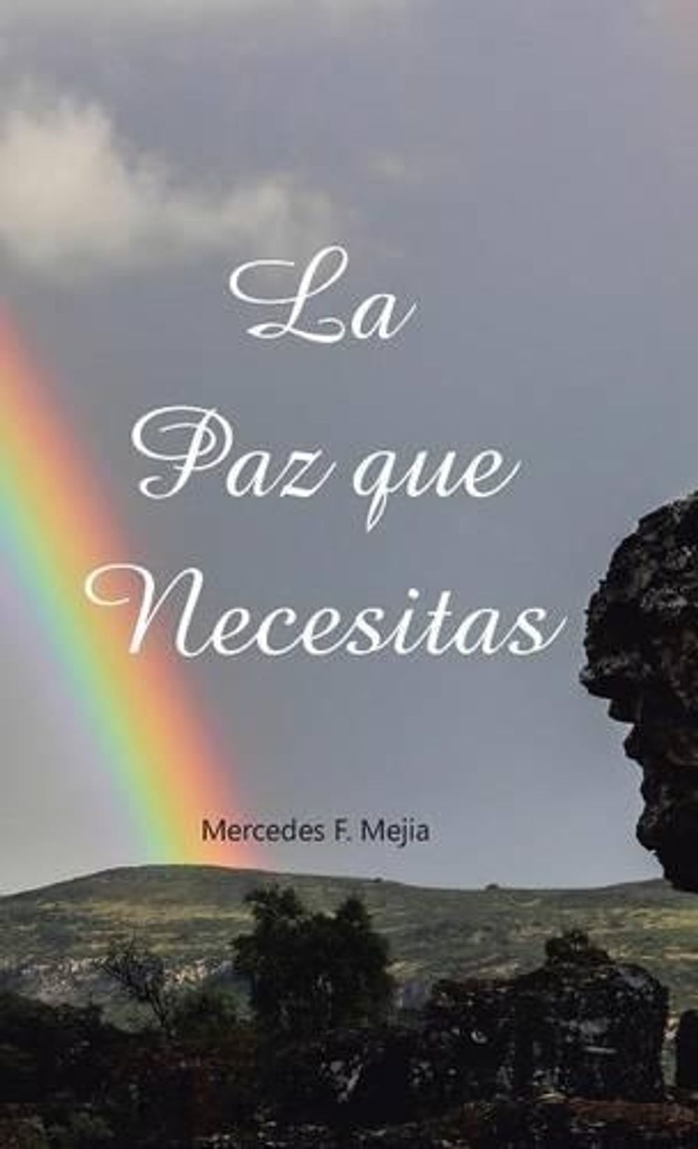 La Paz Que Necesitas By Mercedes F Mejia Spanish Hardcover Book Free Shipping 9781506515076 Ebay