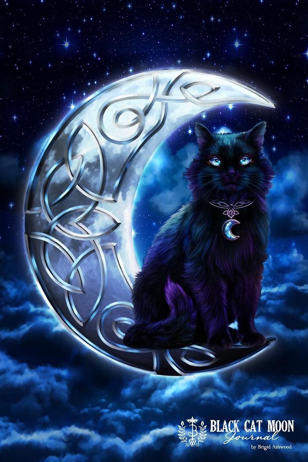 Black Cat Moon Journal by Brigid Ashwood (English) Paperback Book Free ...