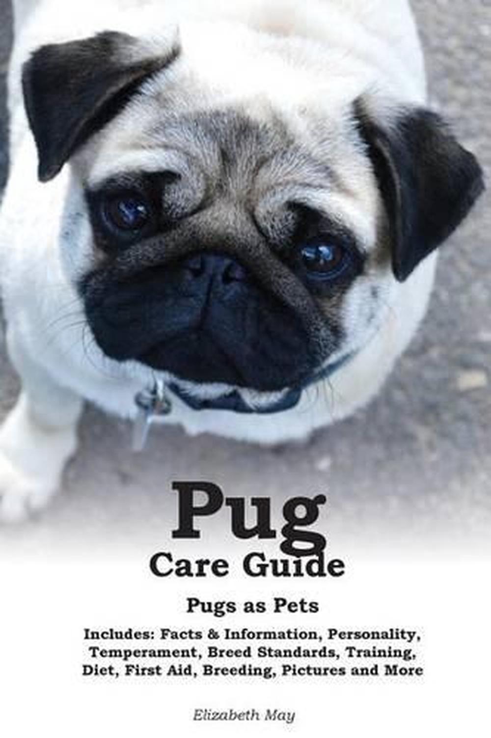 Pug Care Guide Pugs as Pets. Includes Facts & Information