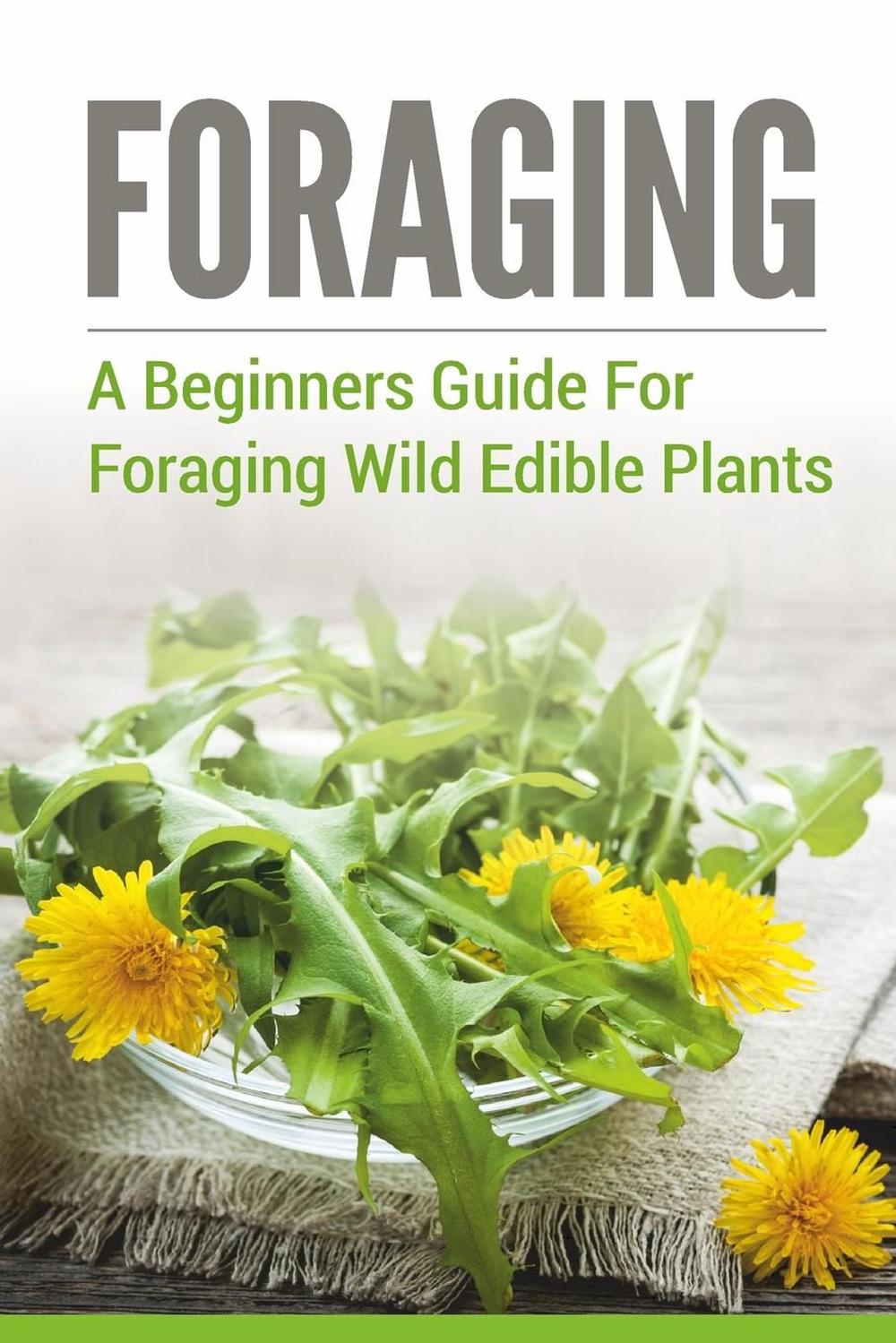 Foraging A Beginners Guide To Foraging Wild Edible Plants By Stephen