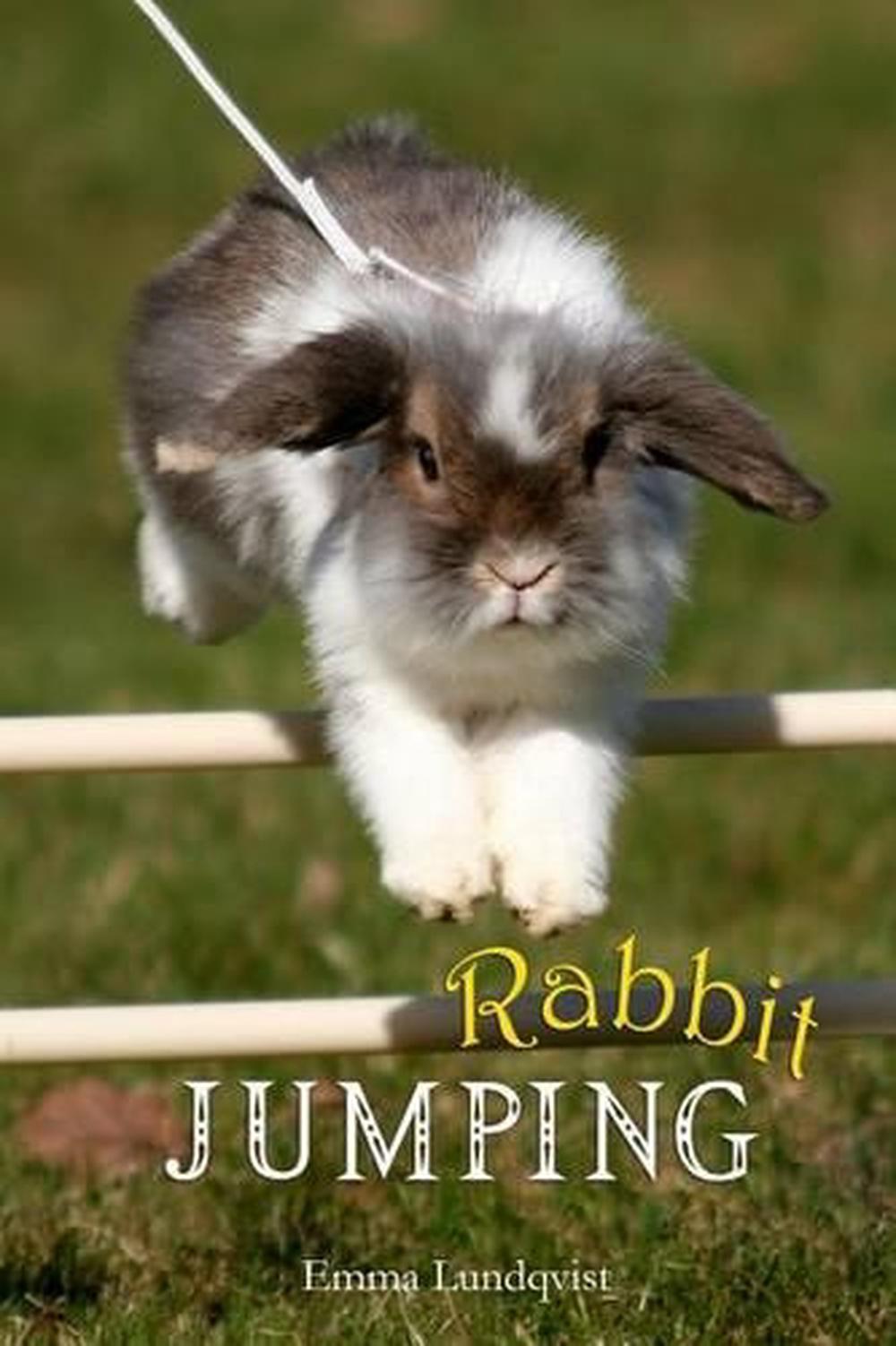 Rabbit Jumping How to Teach Your Rabbit to Jump by Emma Lundqvist