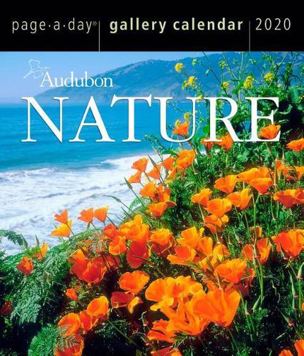 2020 Nature Pageaday Gallery Calendar by National Audubon Society