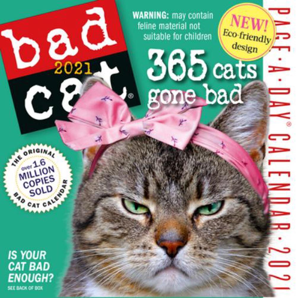 2021 Bad Cat Colour Page a day Calendar by Workman Calendars Free