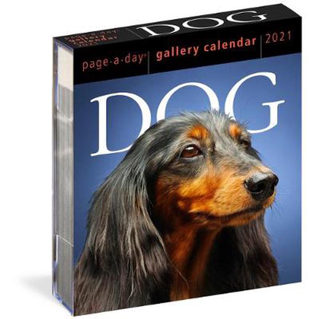 2021 Dog Pageaday Gallery Calendar by Workman Calendars Free Shipping