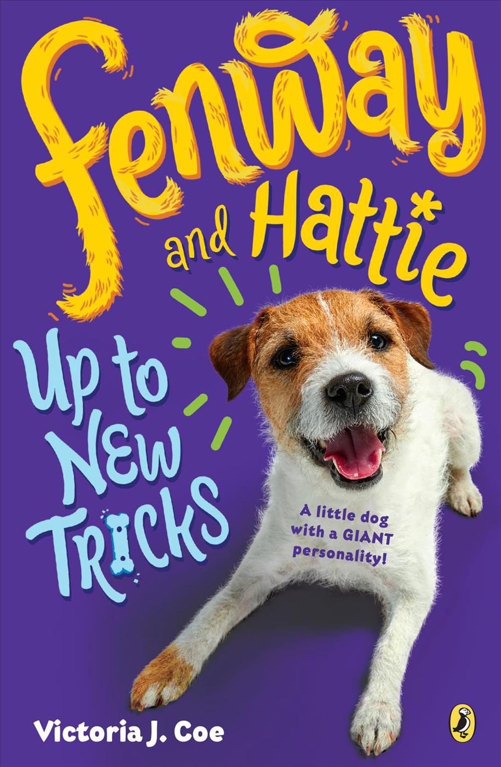 fenway hattie fenway hattie
