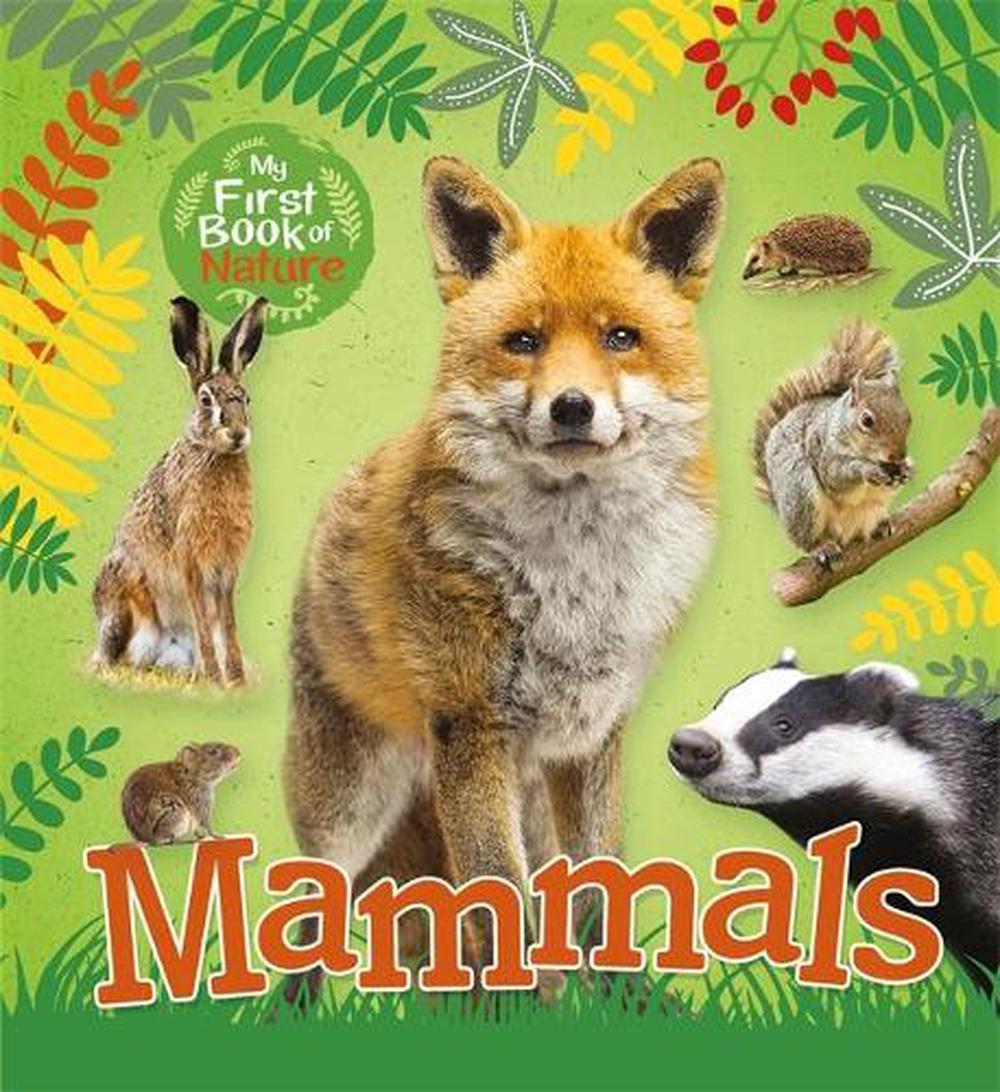 My First Book of Nature: Mammals by Victoria Munson (English) Hardcover ...