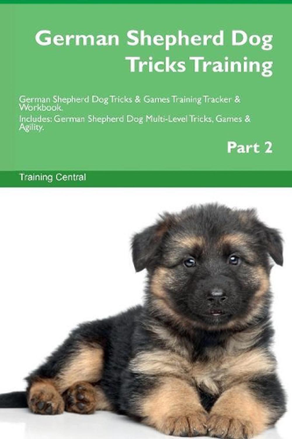 German Shepherd Dog Tricks Training German Shepherd Dog Tricks & Games Training eBay