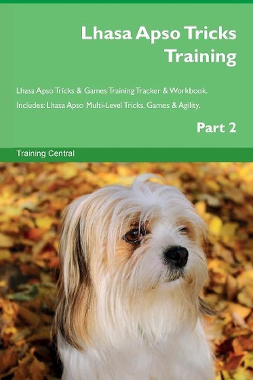 Lhasa Apso Trucos De Capacitación Y Juegos Lhasa Apso Trucos De
