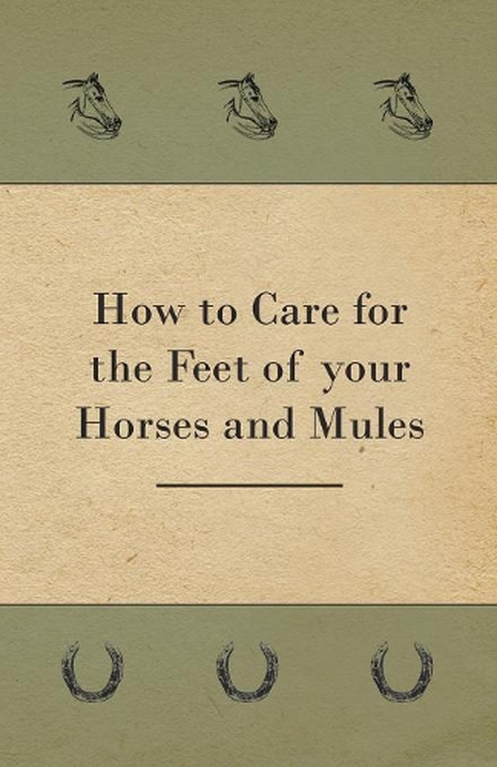 How to Care for the Feet of Your Horses and Mules Paperback Book Free Shipping! - Picture 1 of 1