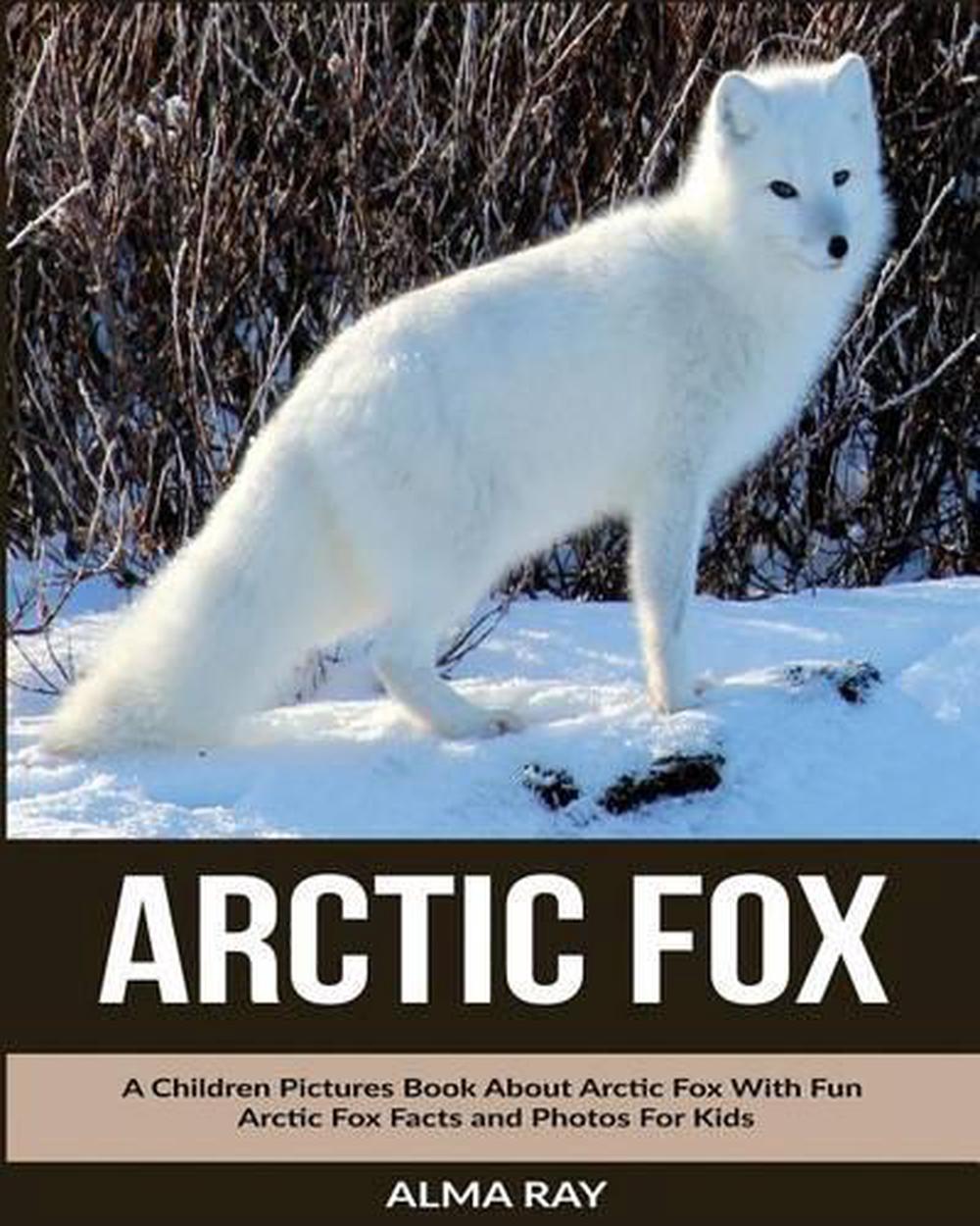 Arctic Fox for Kids
