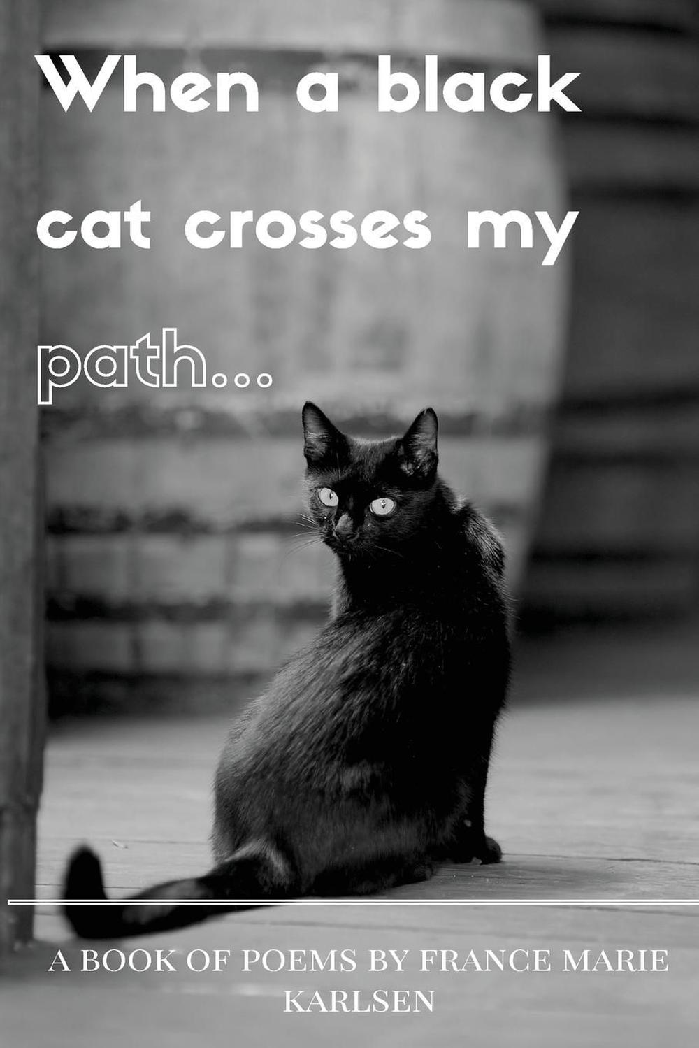 black-cat-crossing-your-path-ireland-debbi-mcwilliams