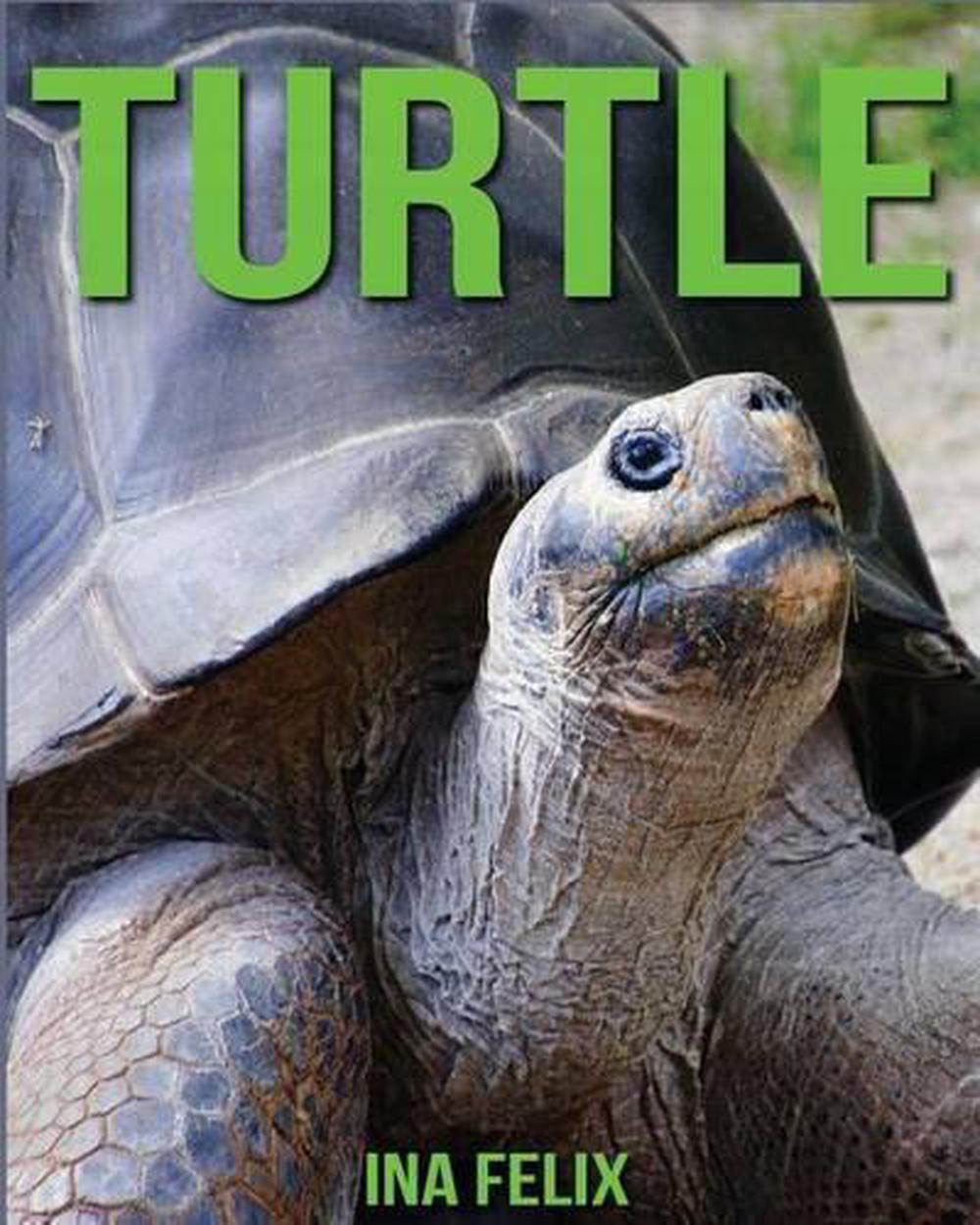 Путь черепахи книга. Книги о черепахах. Books on Turtles.