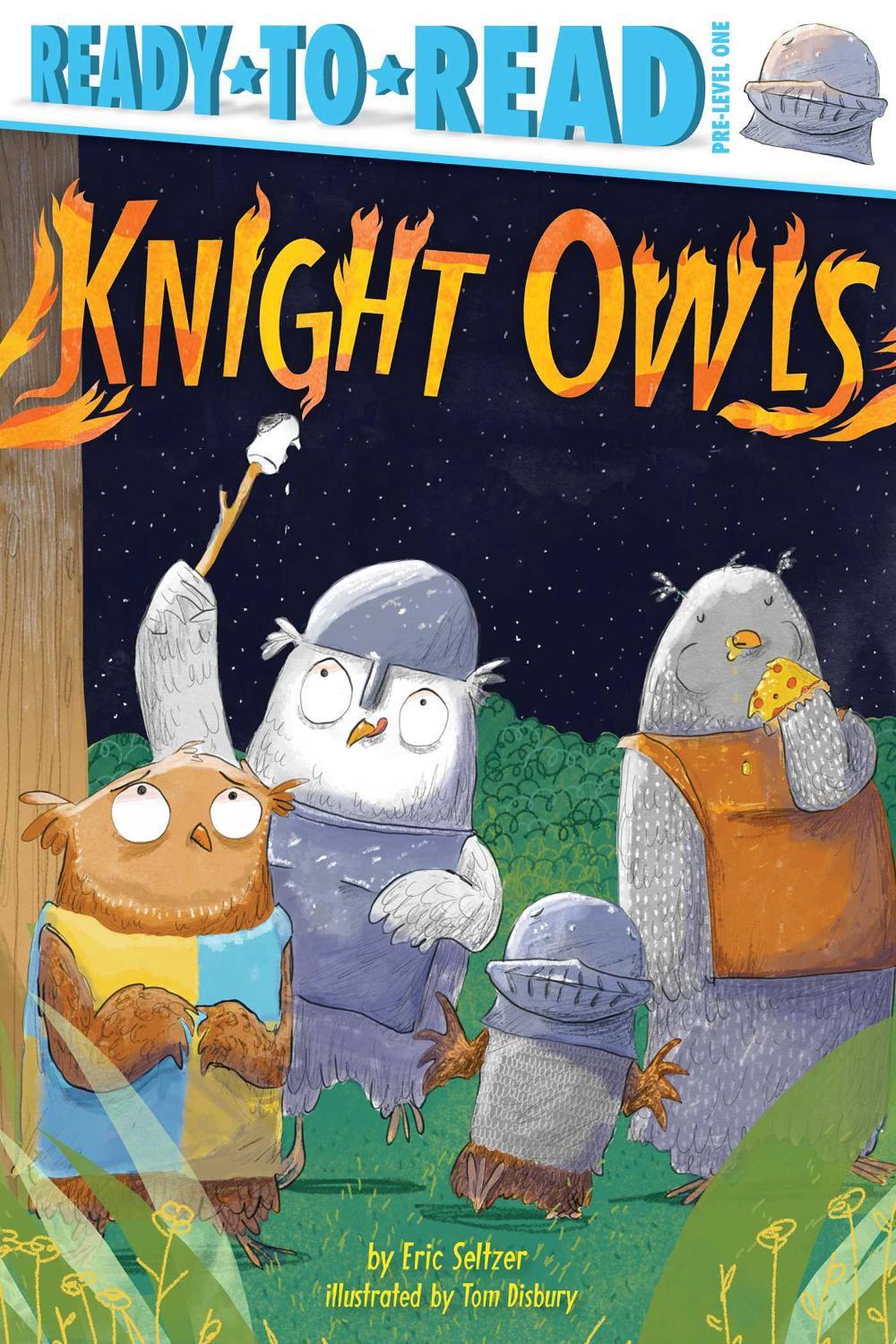 book knight owl book knight owl