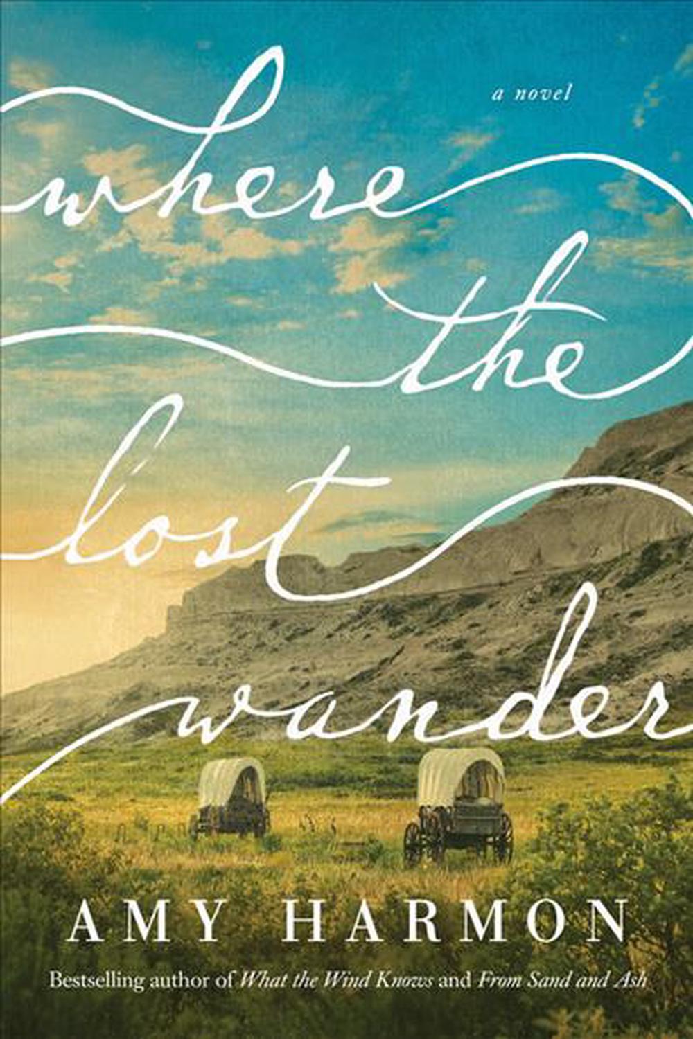 where the lost wander a novel