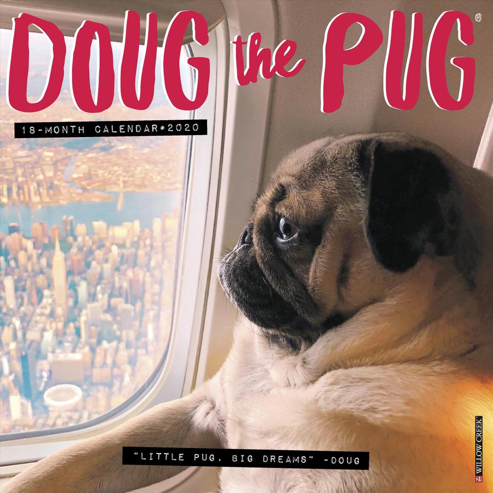 doug-the-pug-2019-square-wall-calendar-free-shipping-9781549206207-ebay