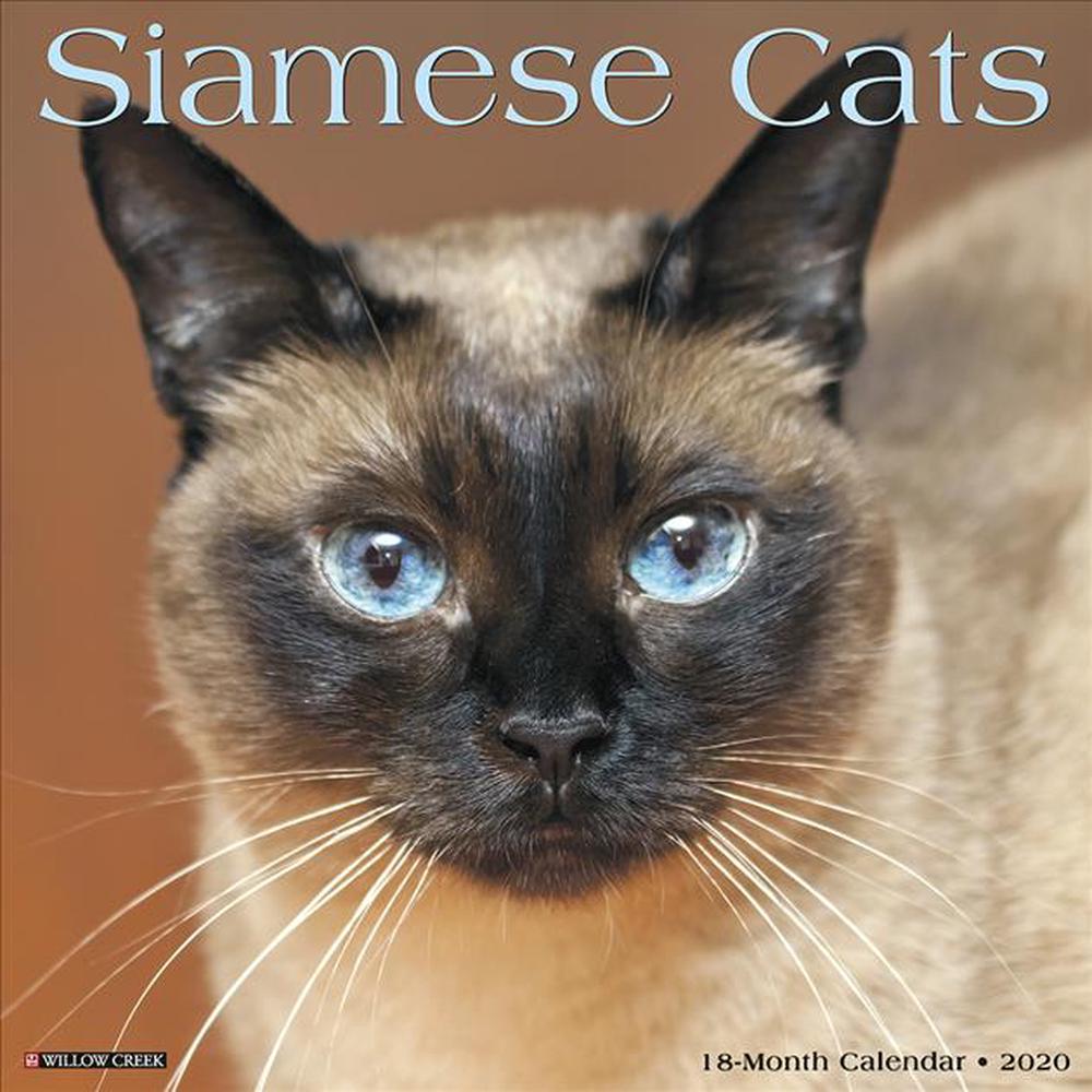 Siamese Cats 2020 Wall Calendar by Willow Creek Press Free Shipping