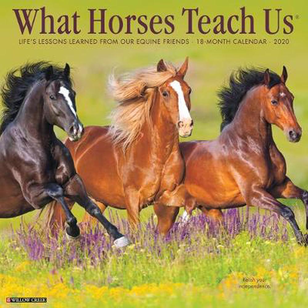 What Horses Teach Us 2020 Wall Calendar by Willow Creek Press Free
