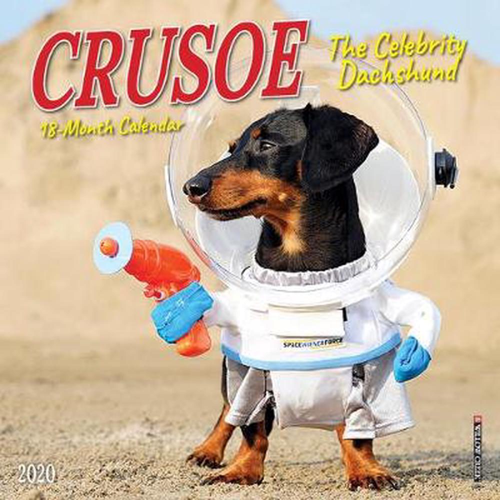 Crusoe the Celebrity Dachshund 2020 Mini Wall Calendar (dog Breed