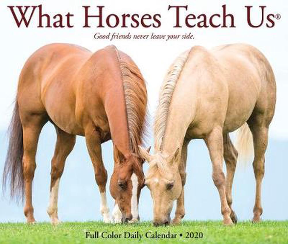 What Horses Teach Us 2020 Box Calendar by Willow Creek Press Free