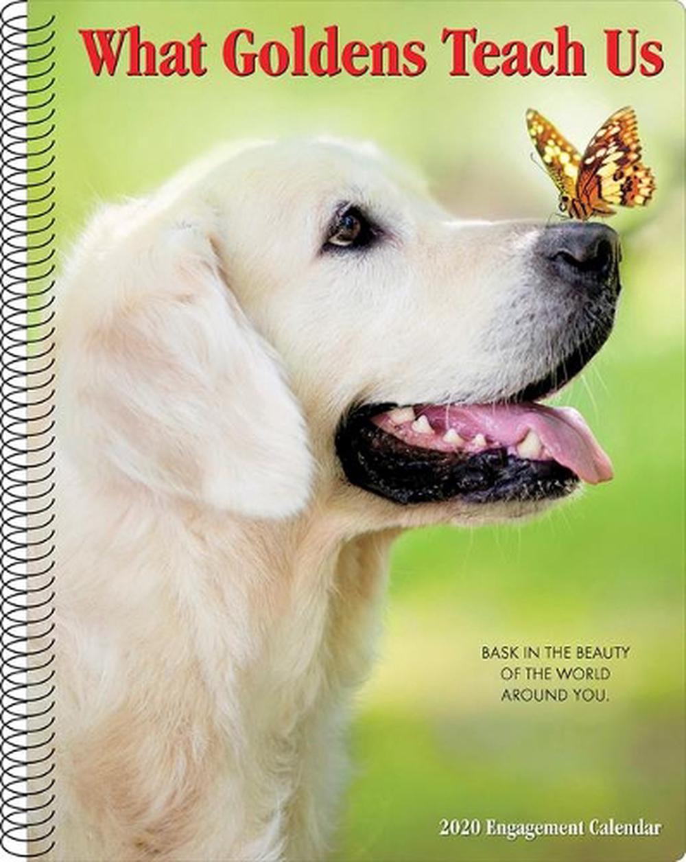 What Goldens Teach Us 2020 Engagement Calendar (Dog Breed Calendar) by