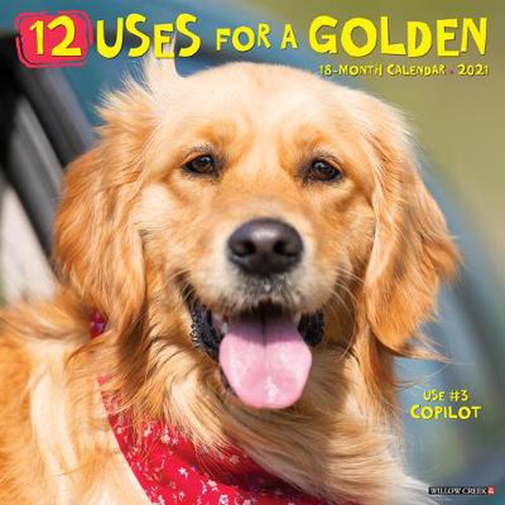 2021 Dogs 2021 Dogs
