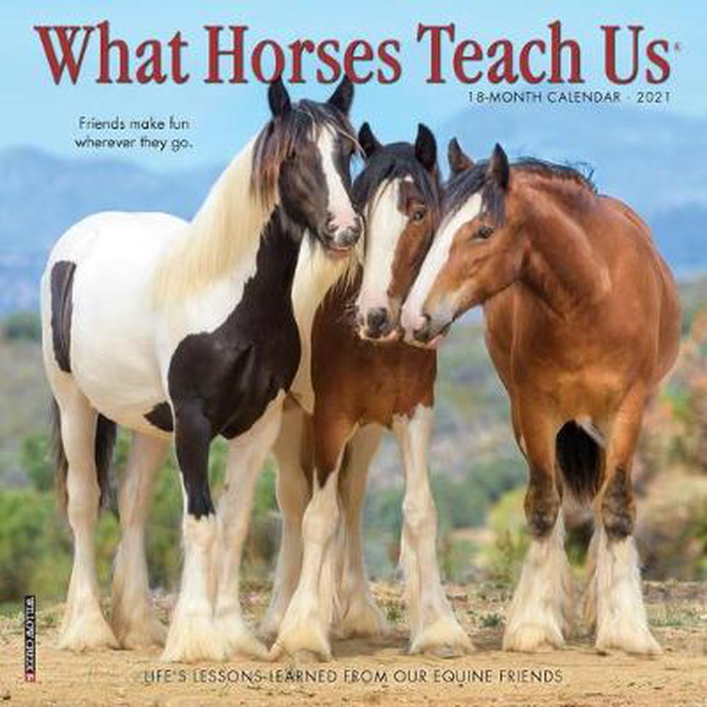 What Horses Teach Us 2021 Mini Wall Calendar by Willow Creek Press