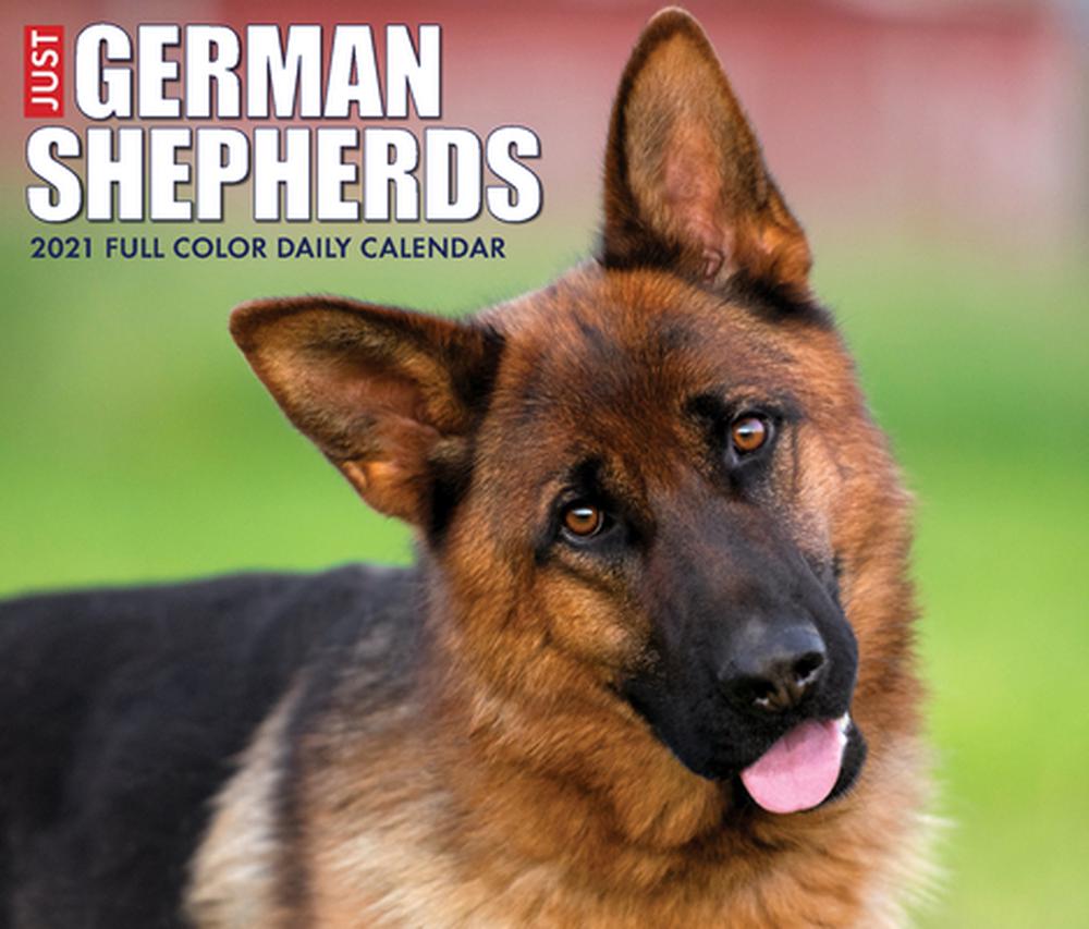just-german-shepherds-2022-calendar-german-shepherd-shepherd-german