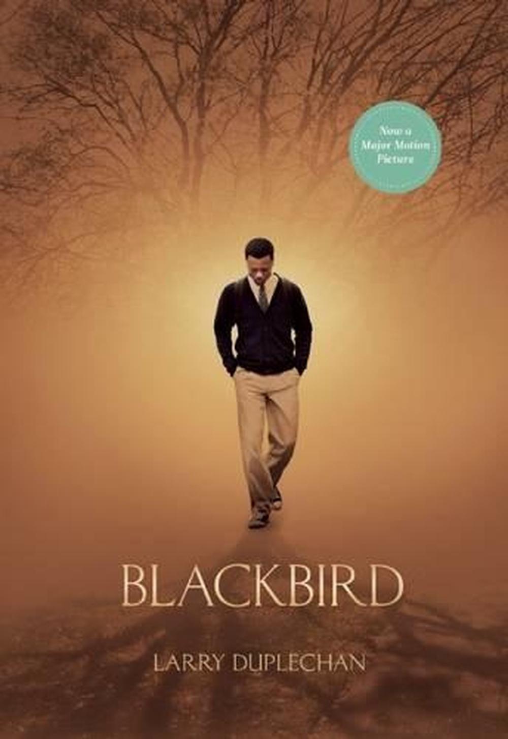 Blackbird by Larry Duplechan