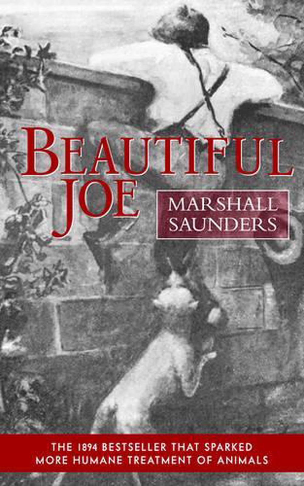 Beautiful Joe (Paperback) by Marshall Saunders (English