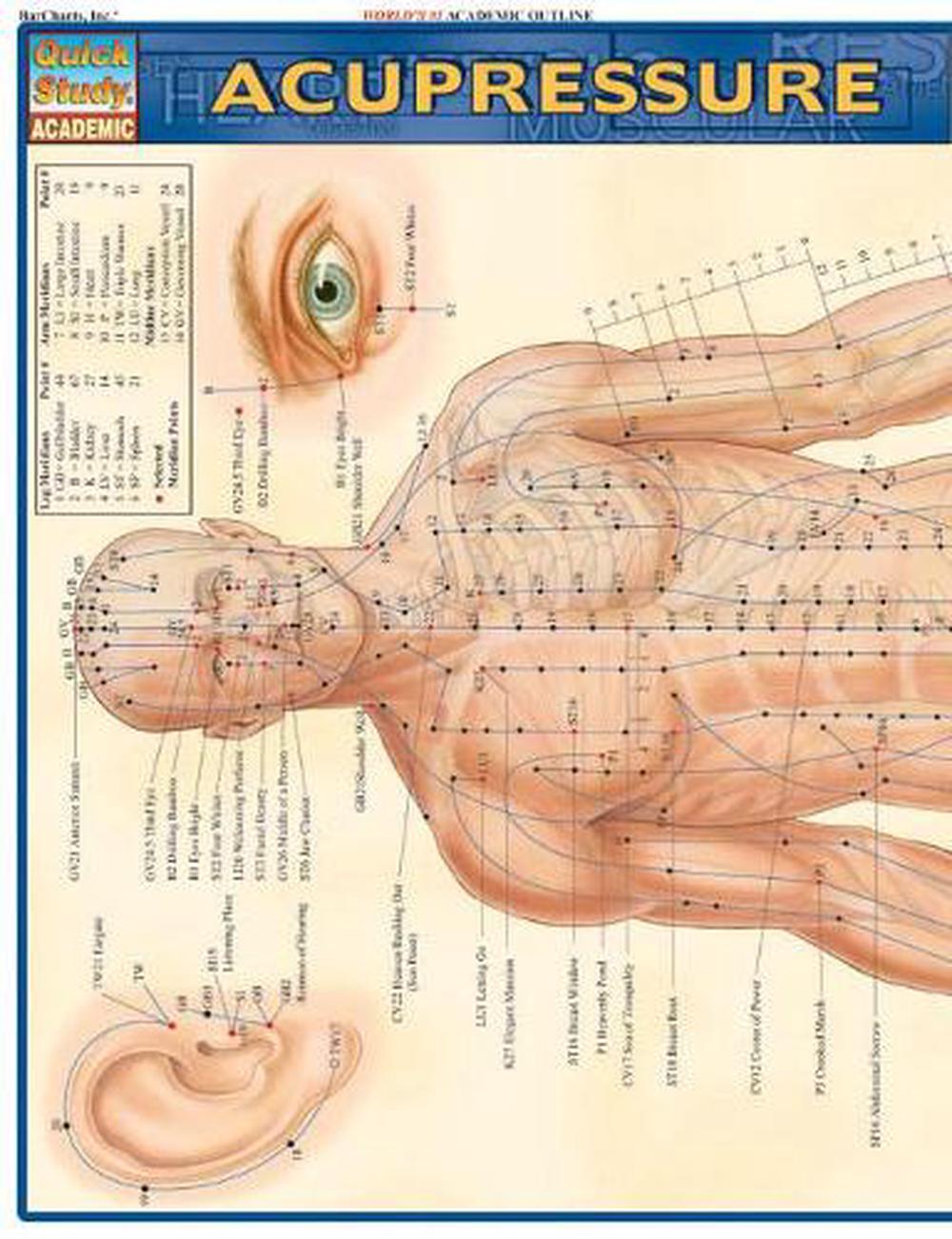 acupressure-laminate-reference-chart-english-free-shipping-9781572228399-ebay