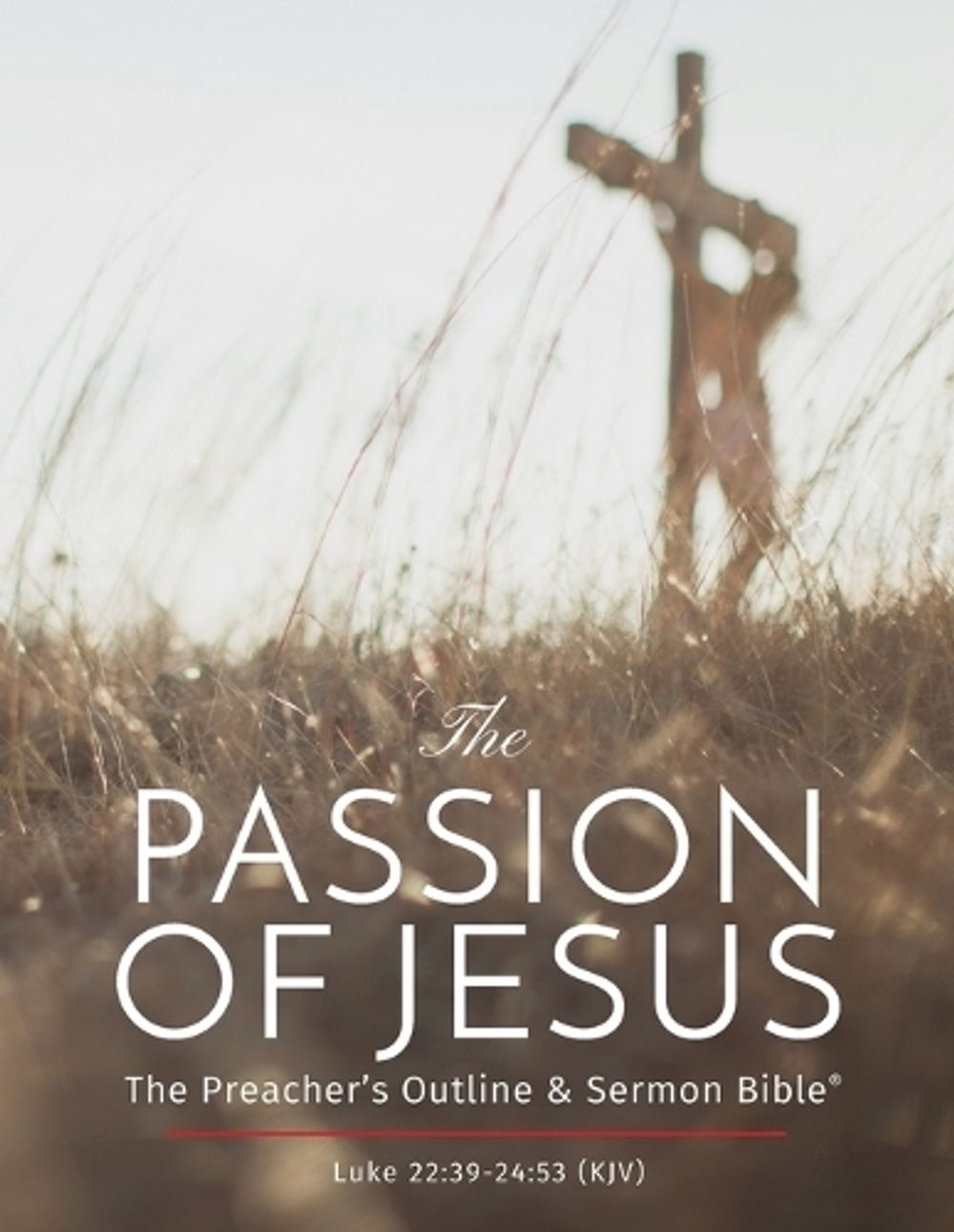 The Passion Of The Christ English Edition
