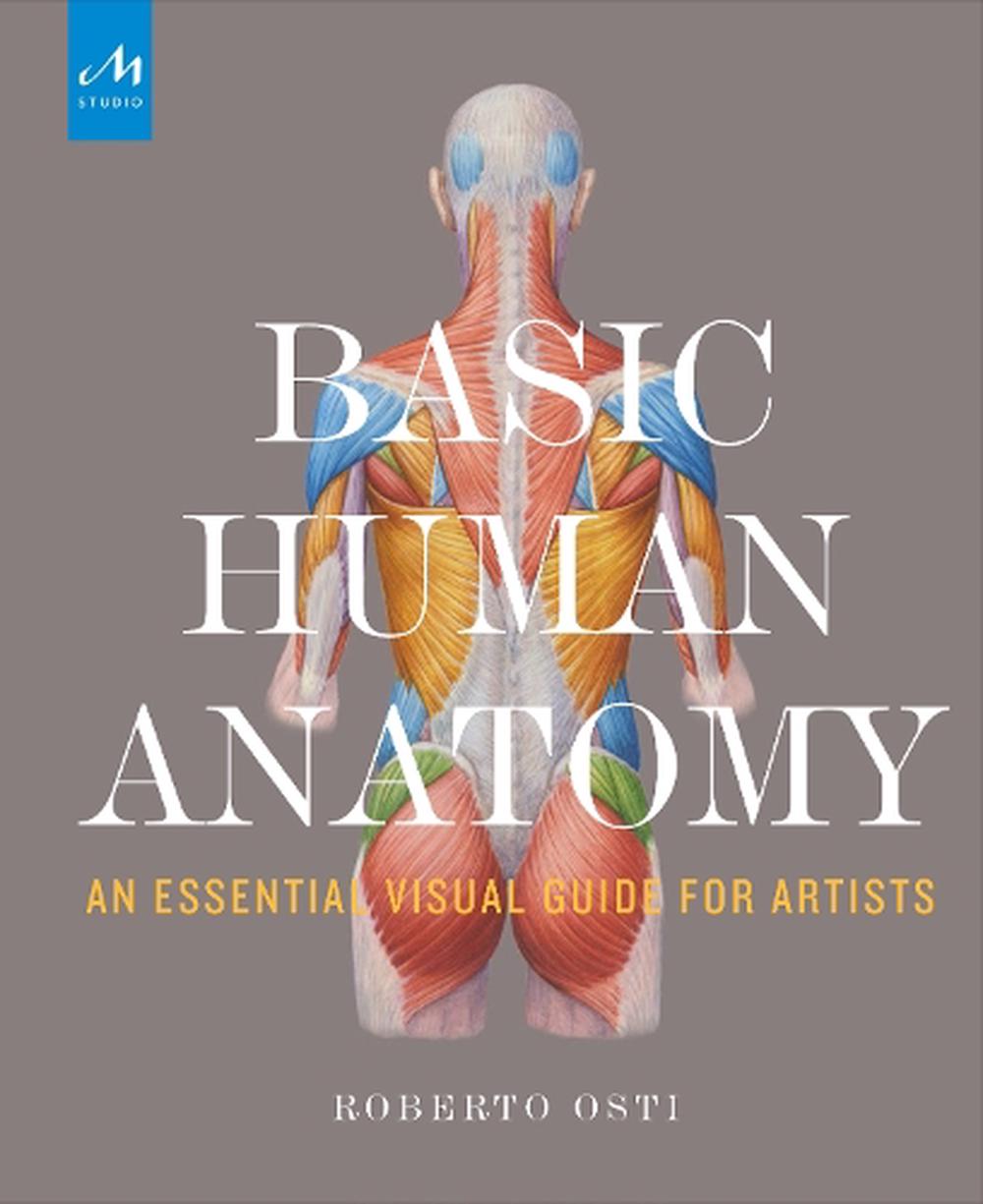 basic human anatomy for artists