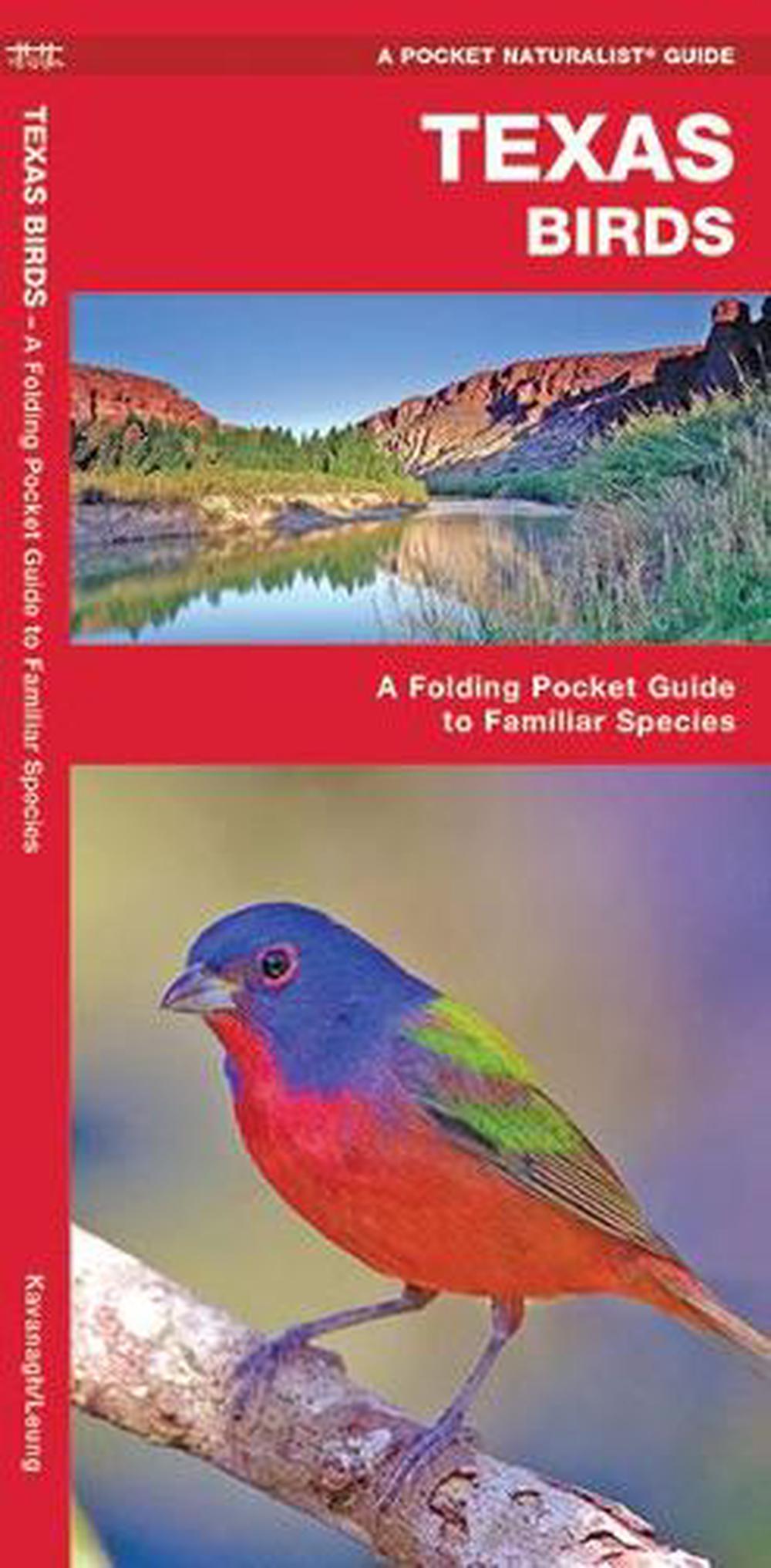 Texas Birds: A Folding Pocket Guide to Familiar Species by James ...