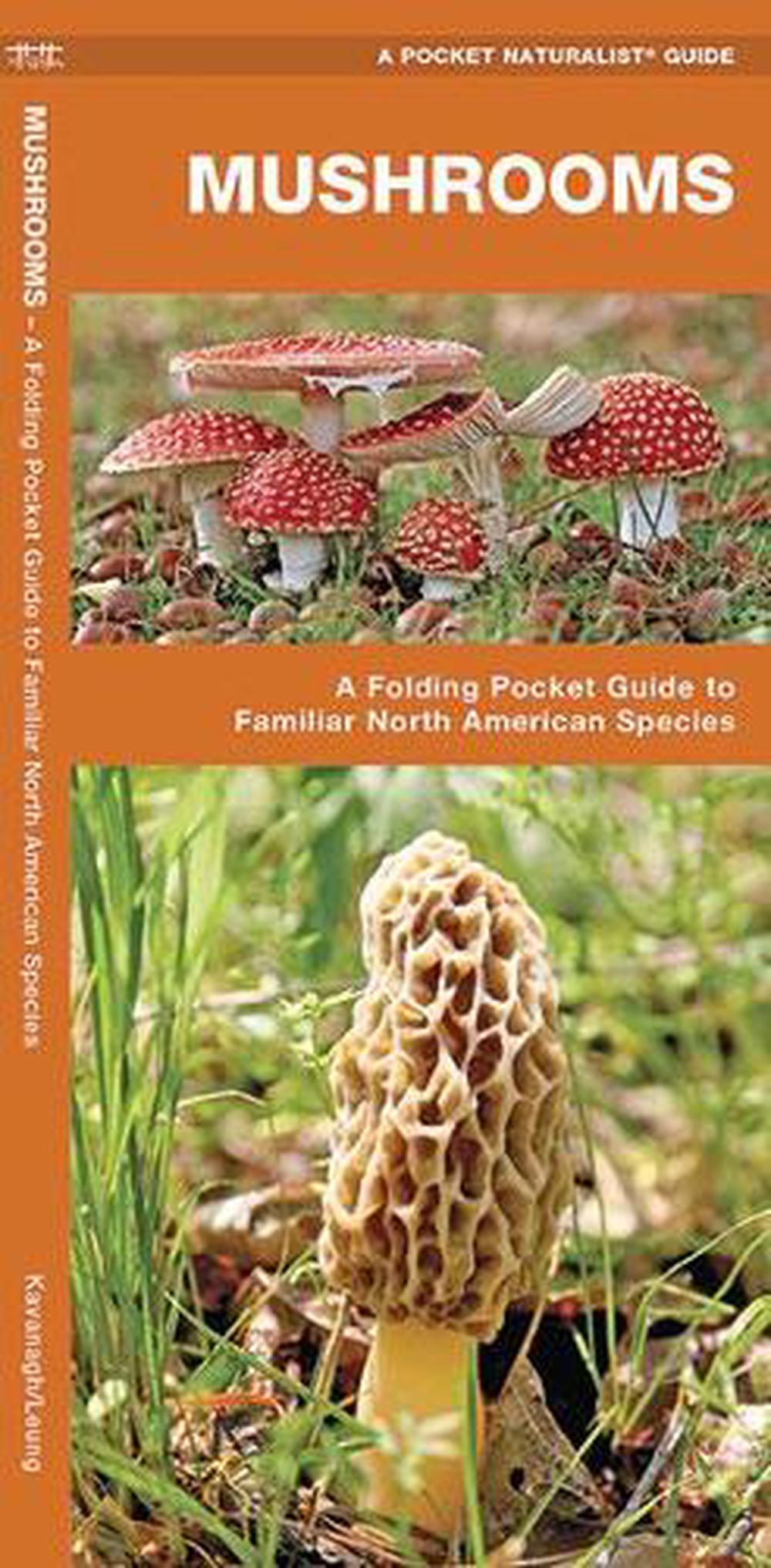 Mushrooms: An Introduction to Familiar North American Species: A ...