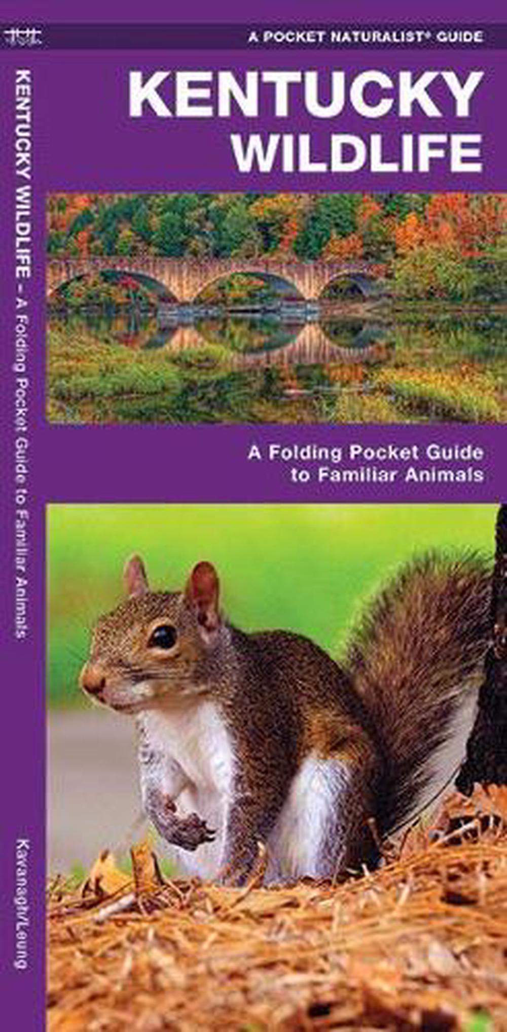 Kentucky Wildlife: An Introduction to Familiar Species: A Folding