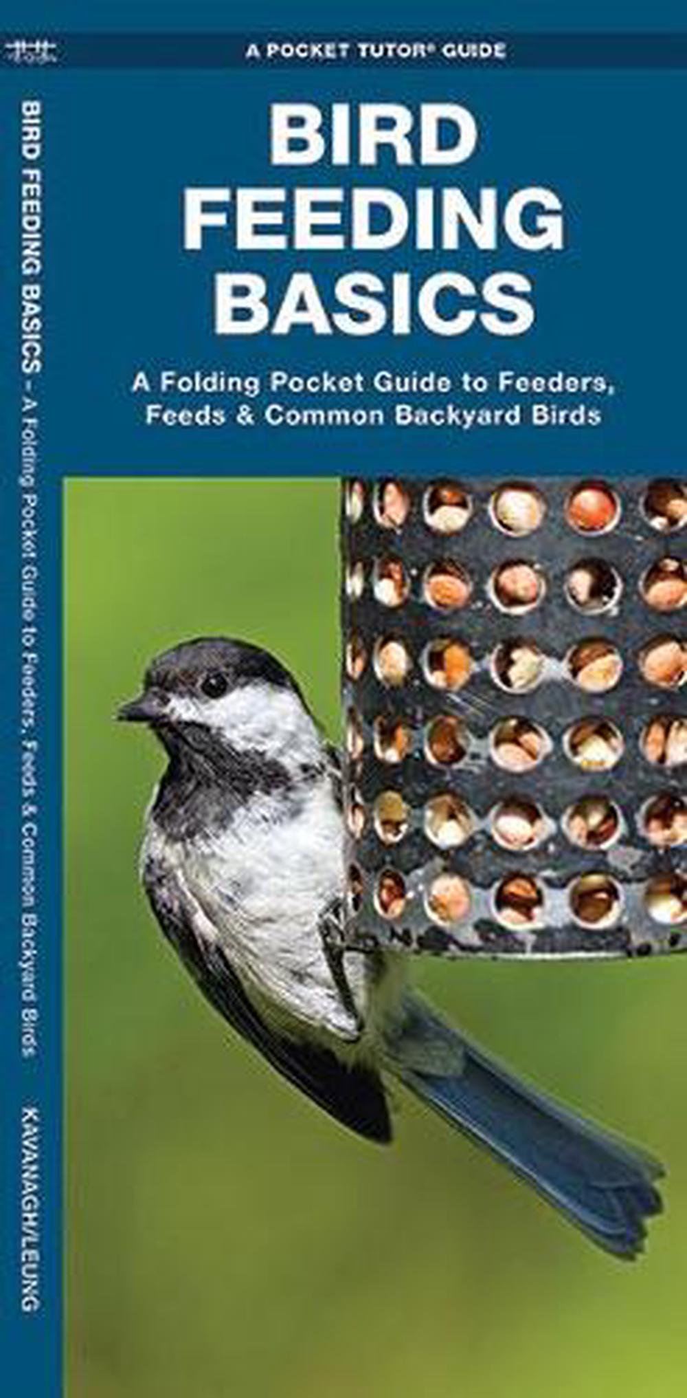 Bird Feeding Basics: An Introduction To Feeders, Feeds & Common ...