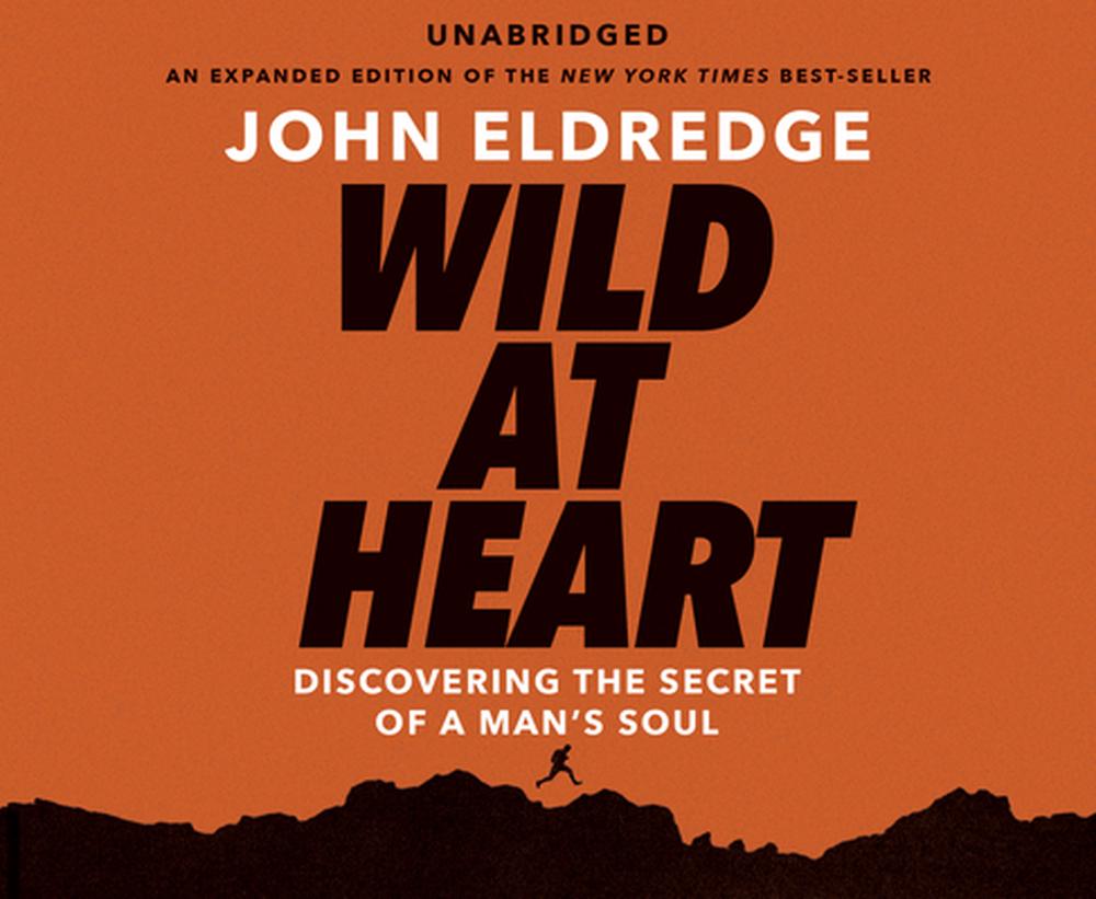 review of john eldredge wild at heart