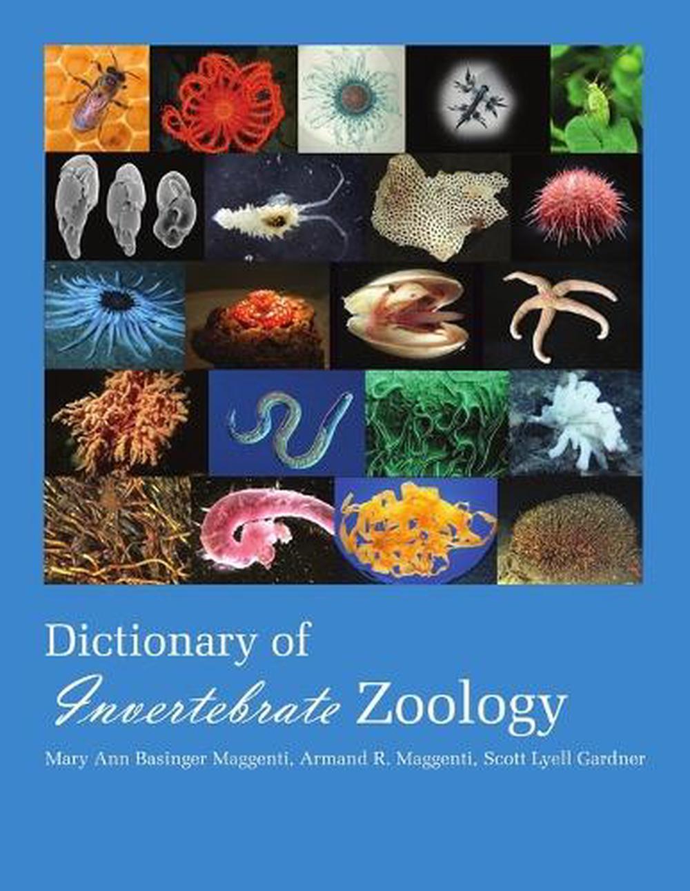 Dictionary of Invertebrate Zoology --paperback by Maggenti Mary Ann